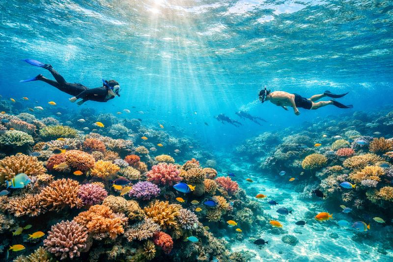 Liveaboard Cruises: What to Expect