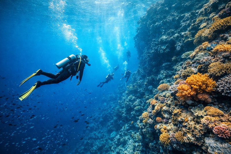 Certified Scuba Diving